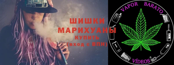 мдпв Дмитровск