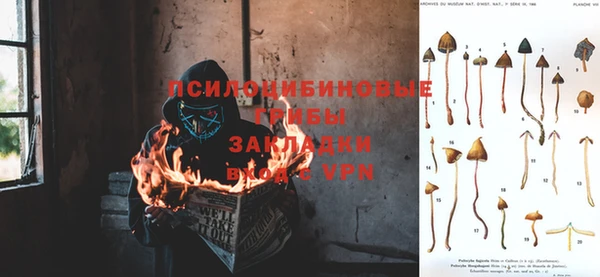 круглые Белокуриха
