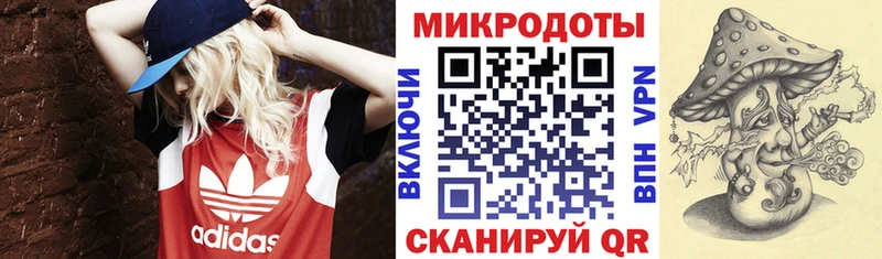 где найти   Кстово  Галлюциногенные грибы GOLDEN TEACHER 