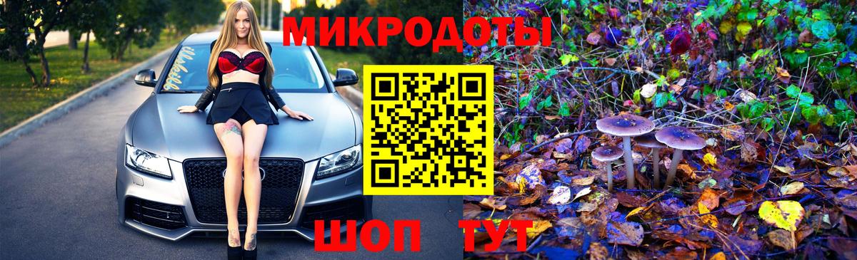 Кстово  Галлюциногенные грибы Psilocybine cubensis  Вход с VPN 